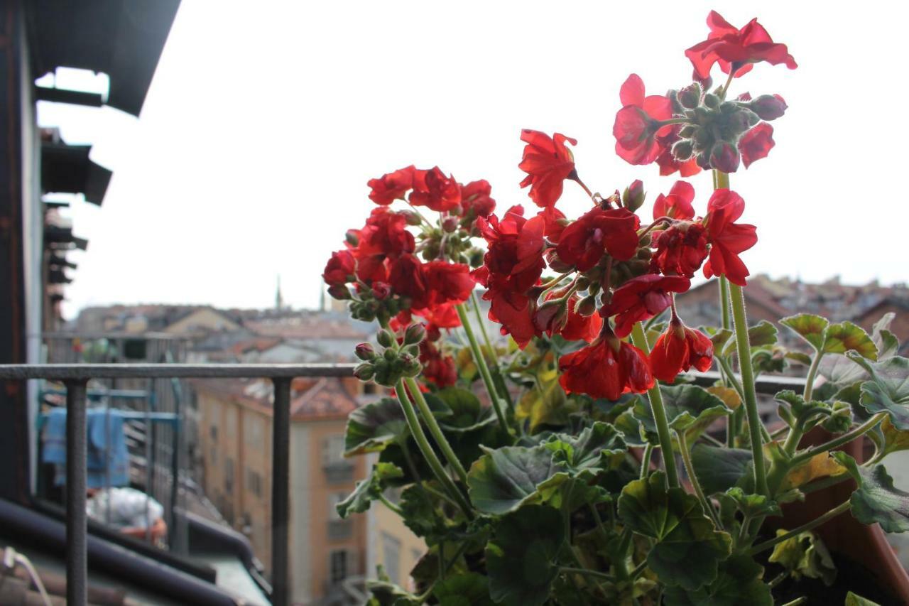 La Bagigia E La Ghianda * Turin